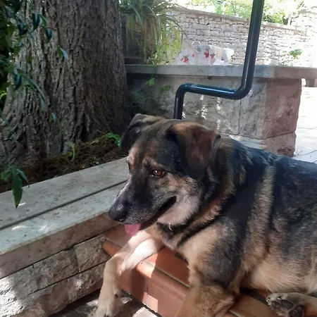 Maria * Pula
