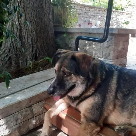 Maria * Pula